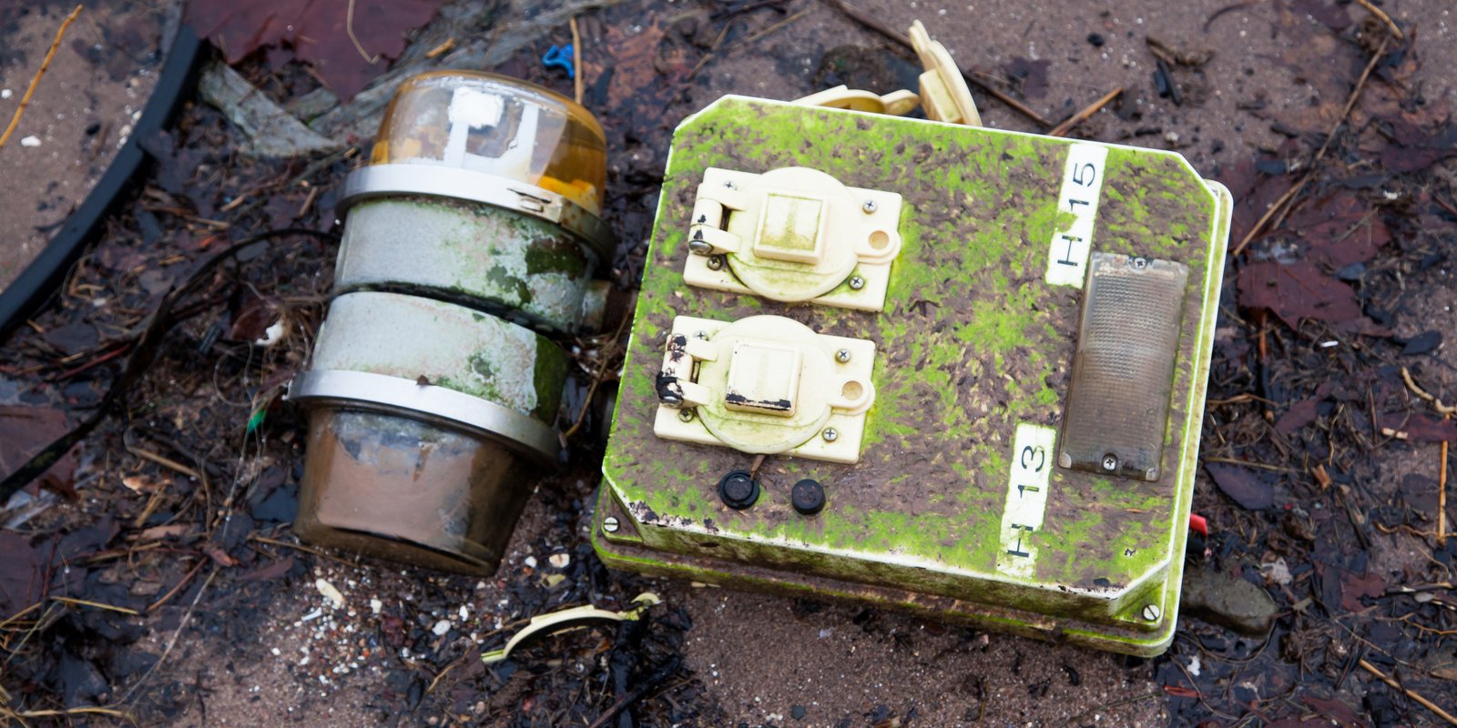 art-of-sandy-mo-staten island 2-90.jpg